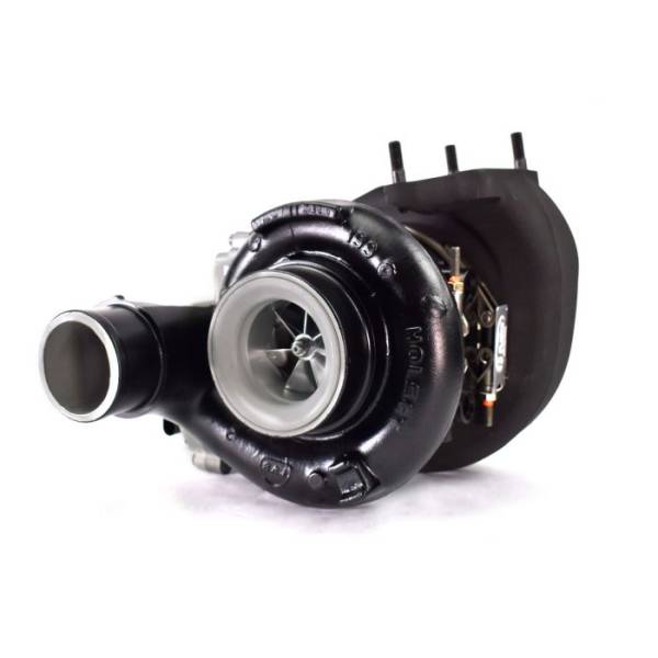 ハムちゅう M198658264