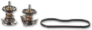 2008-2010 Ford 6.4L Powerstroke - Cooling System - Alliant Power - Alliant Power AP63498 Thermostat Kit