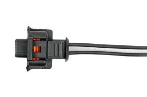 Dan's Diesel Performance, INC. - Injector Harness Pigtail, 2004.5 LLY - 2016 LML 8-Pack - Image 3